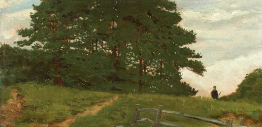 Nachmittag - Wootton